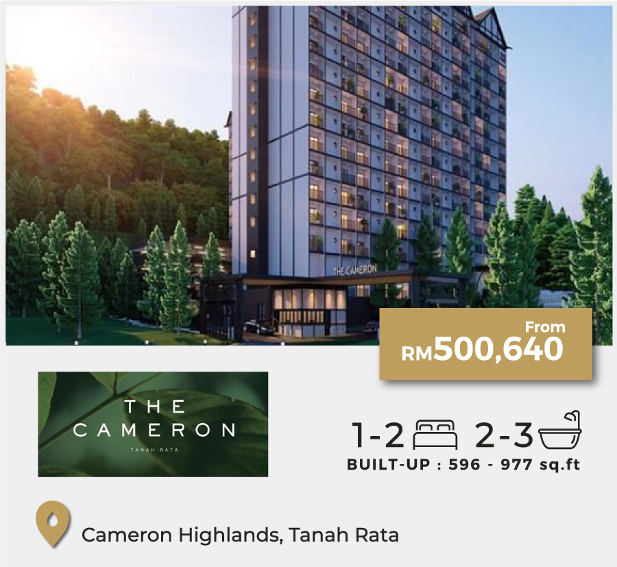 Quinco-Website-Project-8-The-Cameron